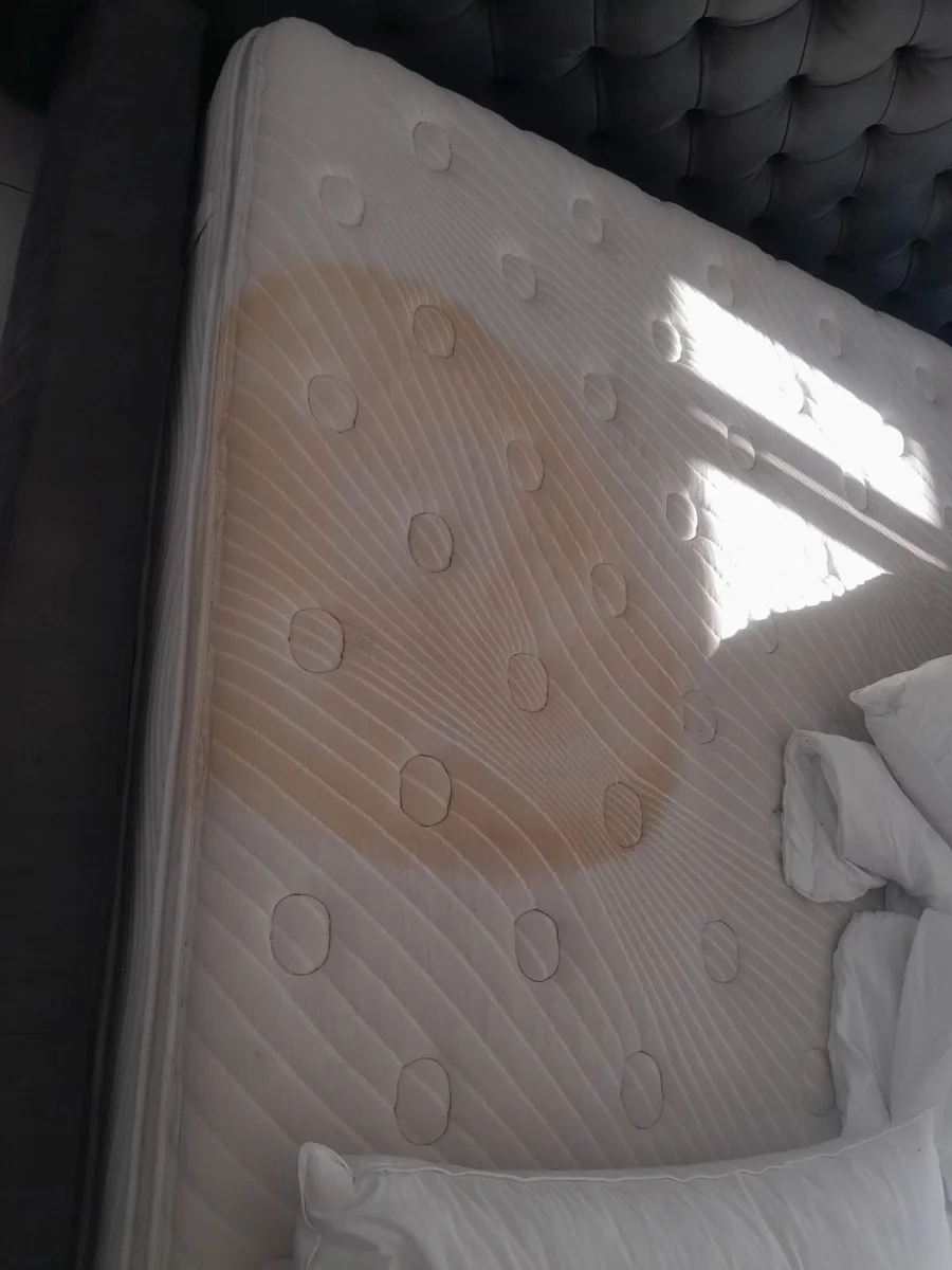 Upholstery cleaning result