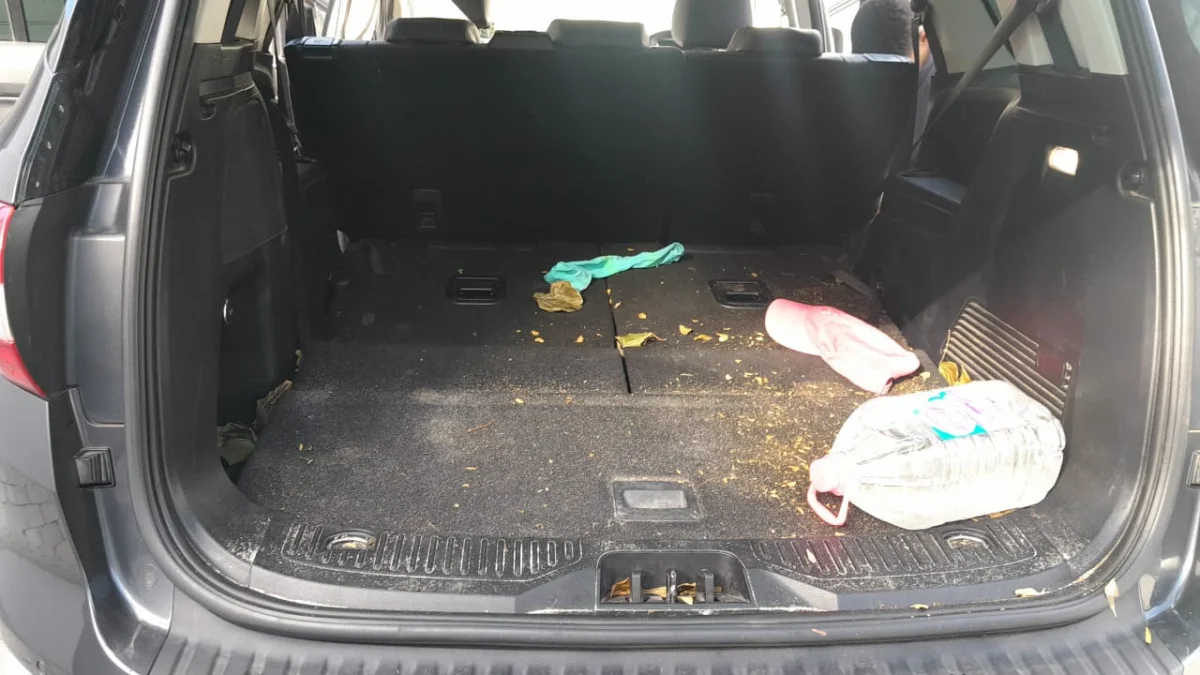 Gallery image 5 — cleaning result